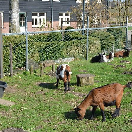 De Rulse Hoeve ヘーゼ エクステリア 写真