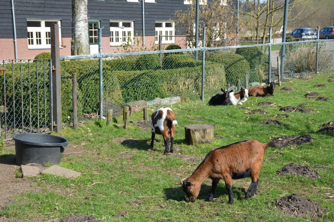 De Rulse Hoeve ヘーゼ エクステリア 写真